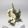 Chlorite quartz - Ganesh Himal, Nepal