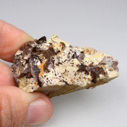 Axinite - Pic de la Piquette, Hautes-Pyrénées, France