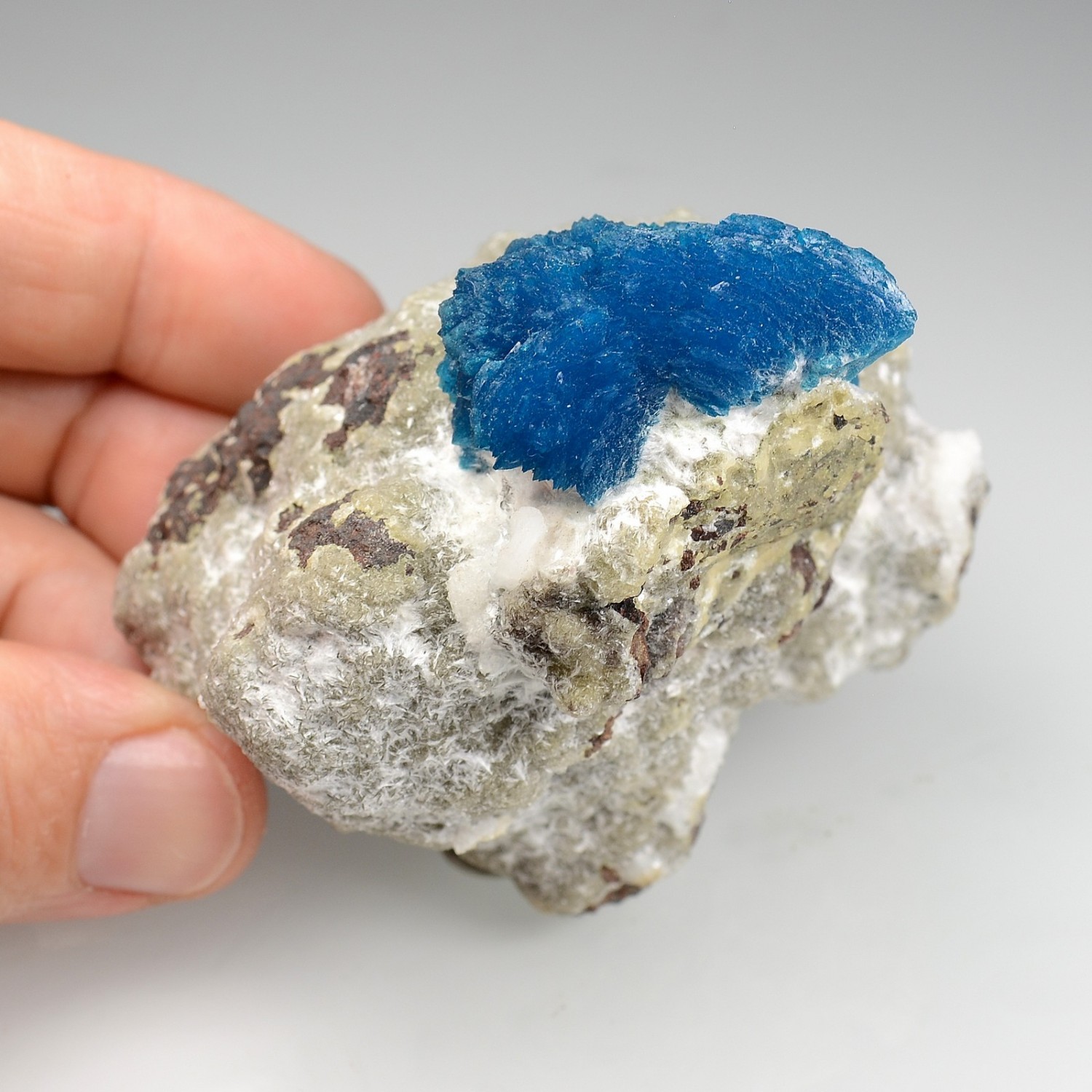 Cavansite - Wagholi quarries, Poona, India