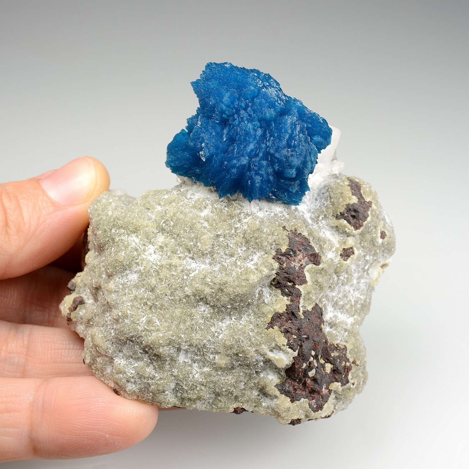 Cavansite - Wagholi quarries, Poona, India