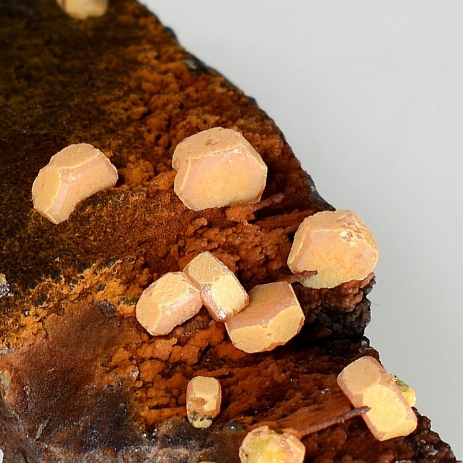 Vanadinite - yellow phosphohedyphane on goethite - Taouz, Morocco