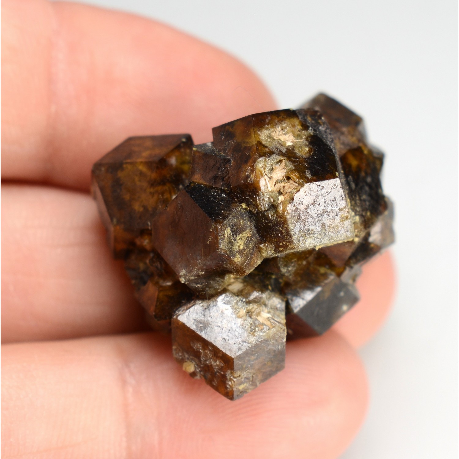 Andradite garnet - Kara mines, Tasmania, Australia