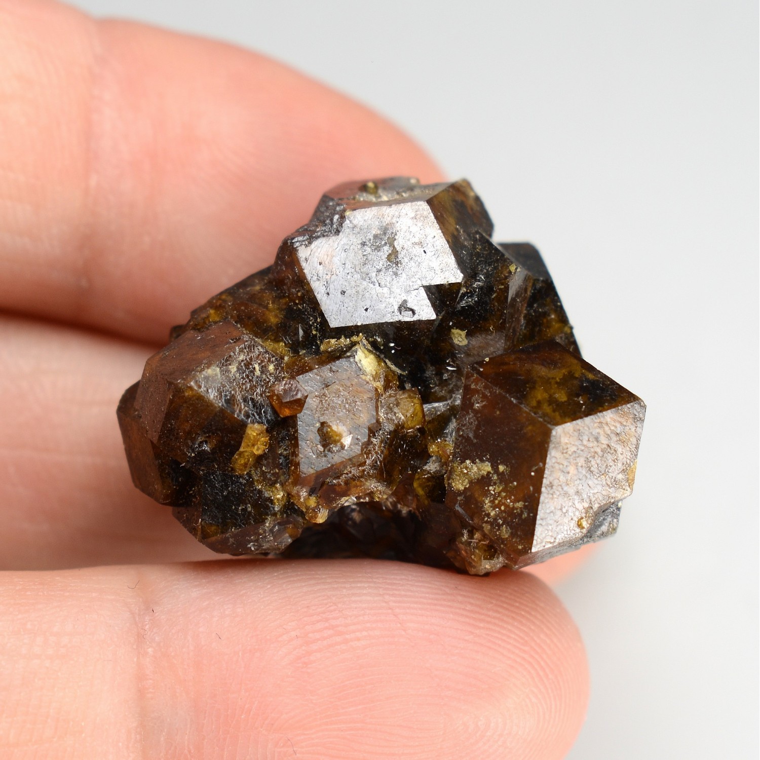 Andradite garnet - Kara mines, Tasmania, Australia