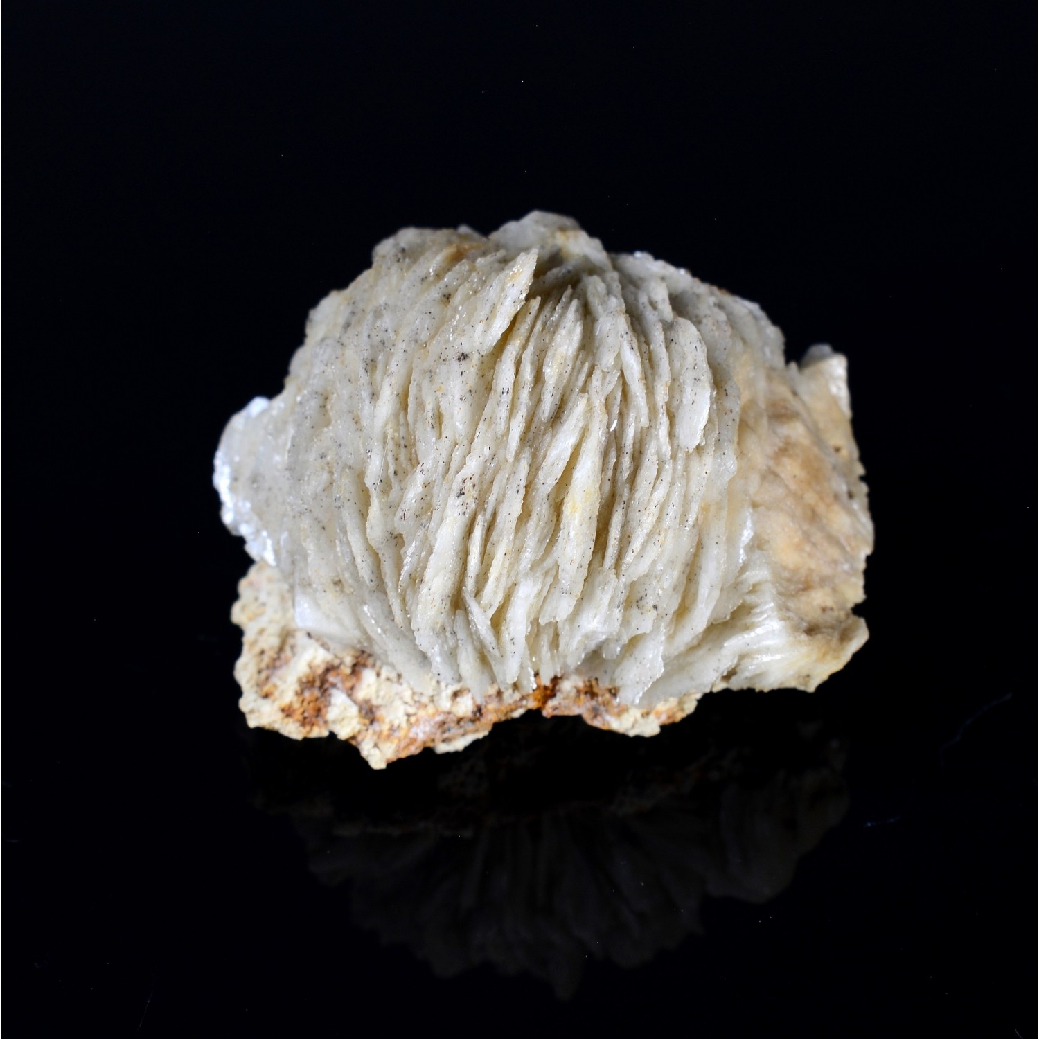 Barite pompom - Saint-Laurent-le-Minier, Gard, France