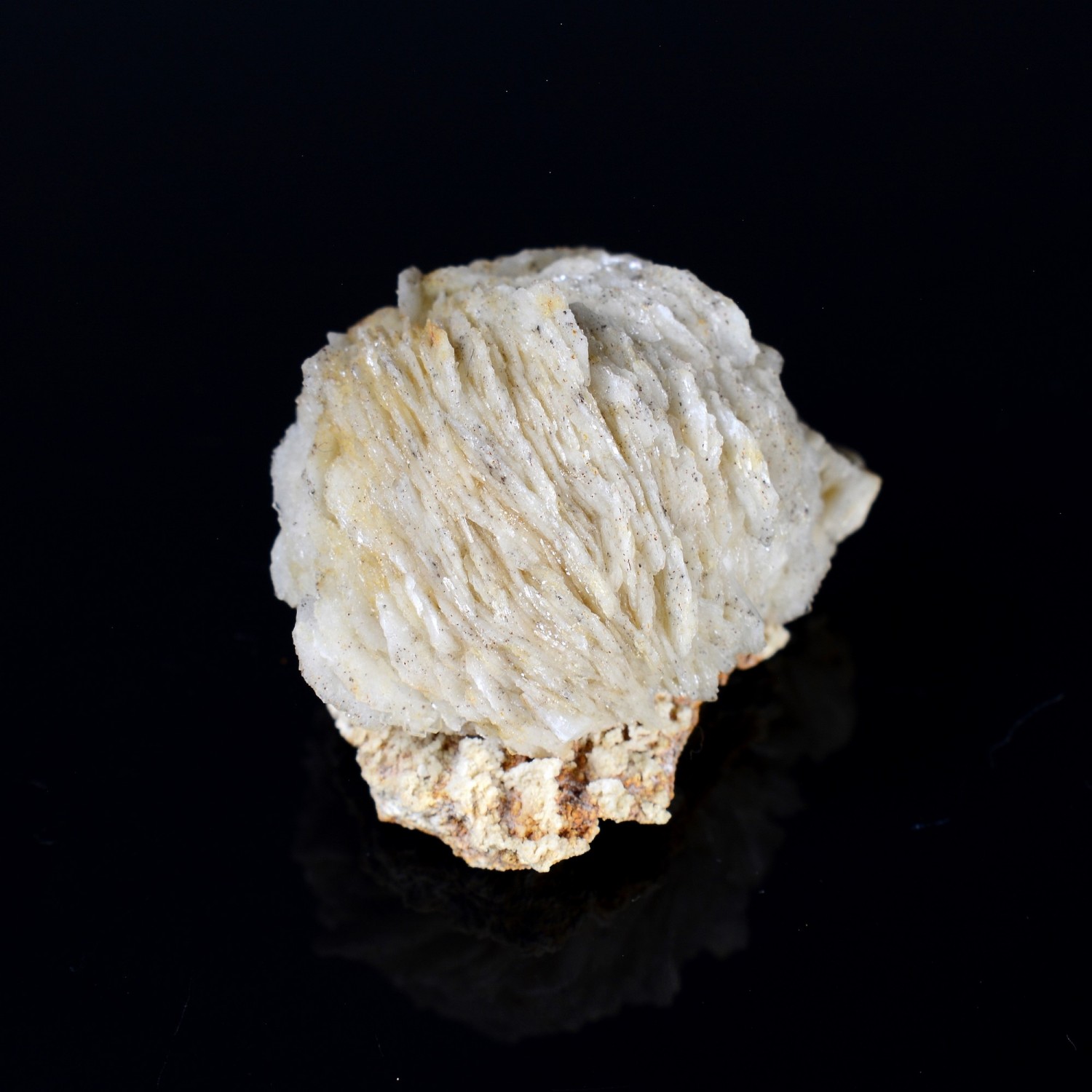 Barite pompom - Saint-Laurent-le-Minier, Gard, France