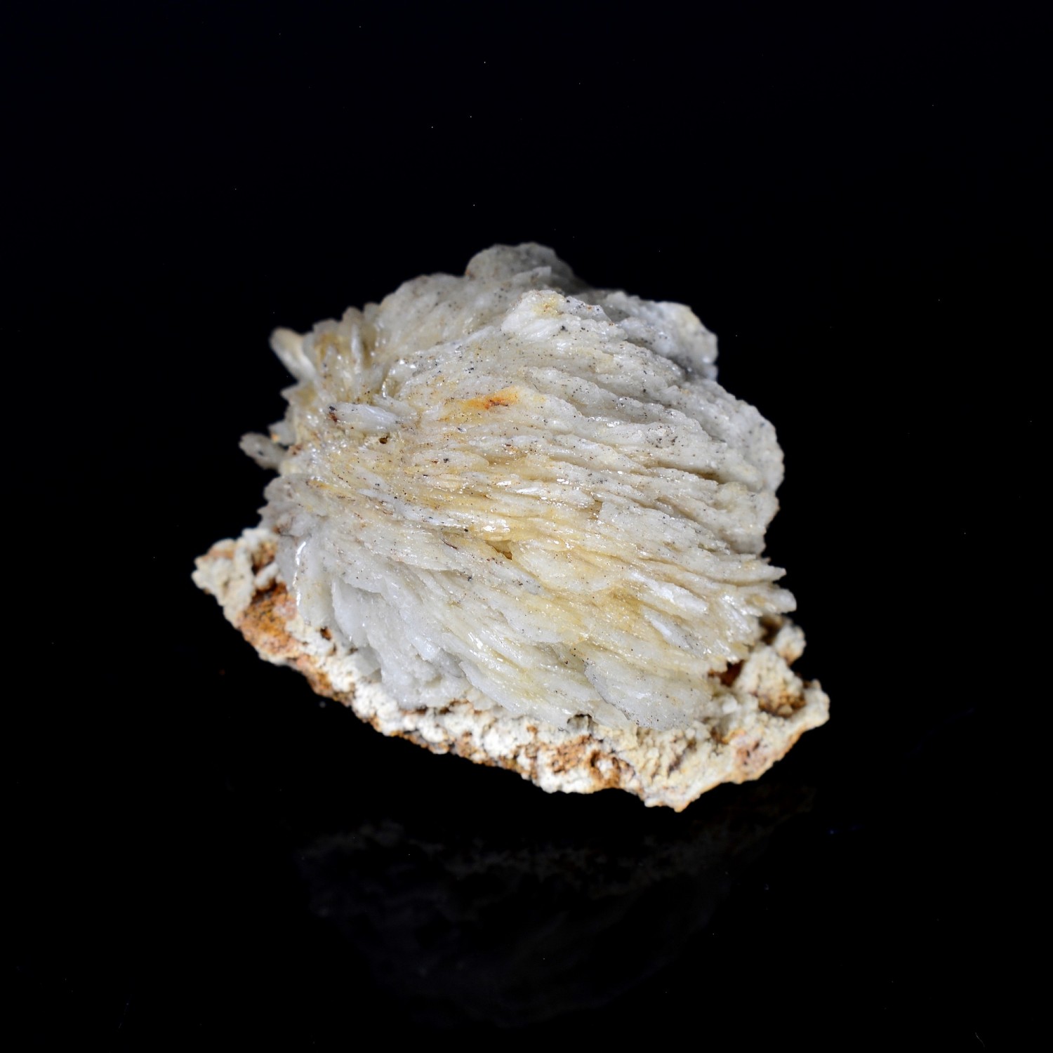 Barite pompom - Saint-Laurent-le-Minier, Gard, France