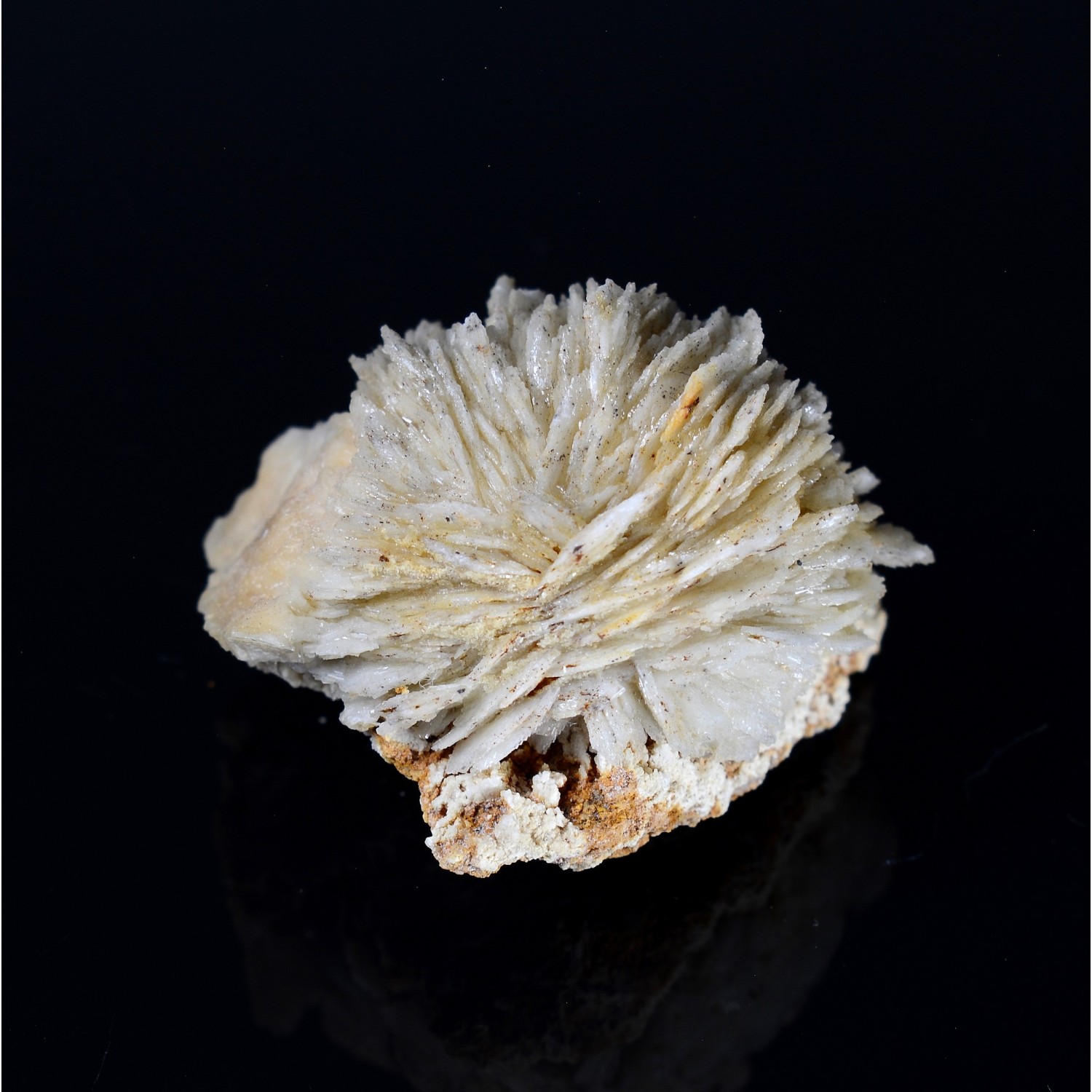 Barite pompom - Saint-Laurent-le-Minier, Gard, France