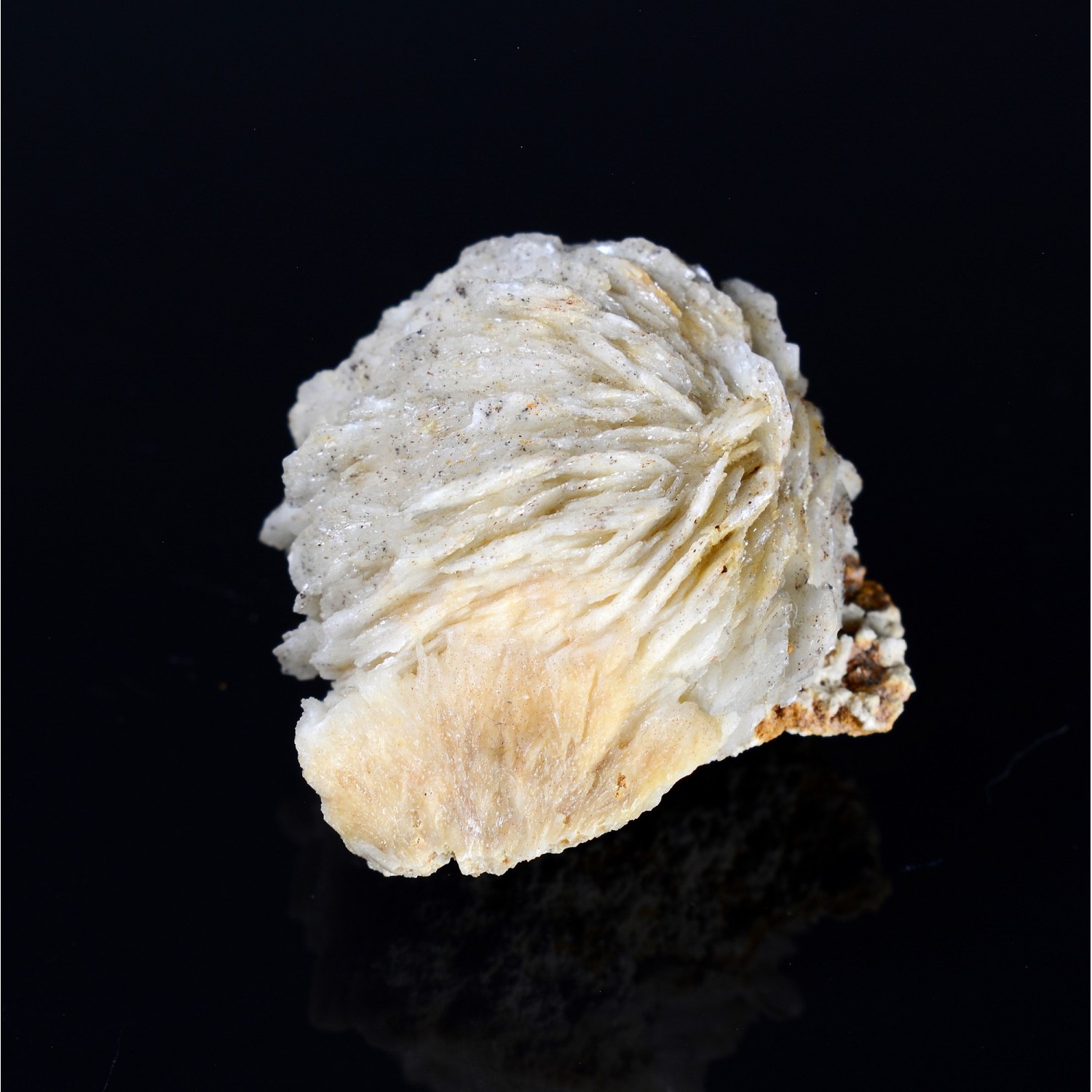 Barite pompom - Saint-Laurent-le-Minier, Gard, France