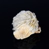 Barite pompom - Saint-Laurent-le-Minier, Gard, France