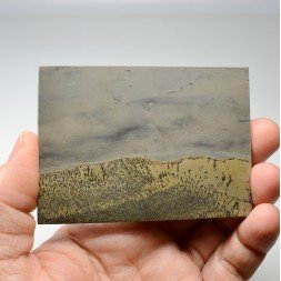 Picture stone - Guangxi province, China