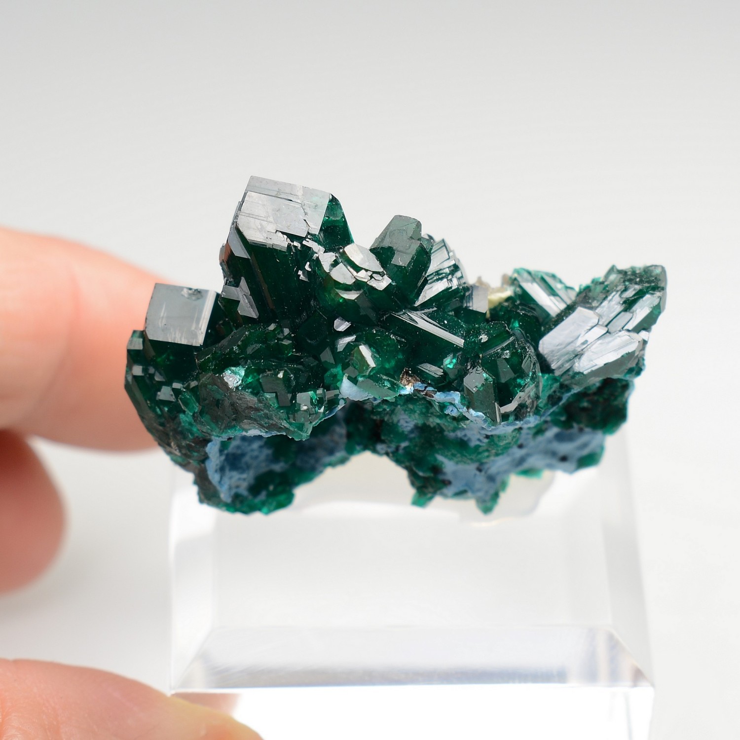 Dioptase - Brazzaville, République du Congo