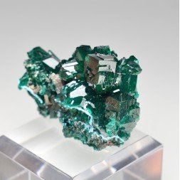 Dioptase - Brazzaville, République du Congo