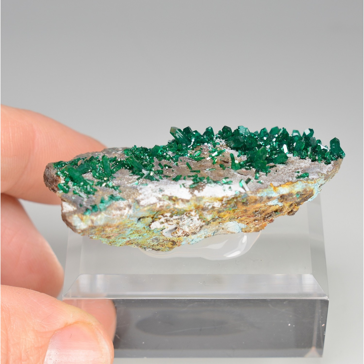 Dioptase - Brazzaville, République du Congo