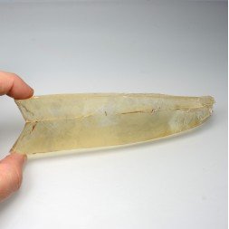 Gypsum - Monthyon, Seine-et-Marne, France