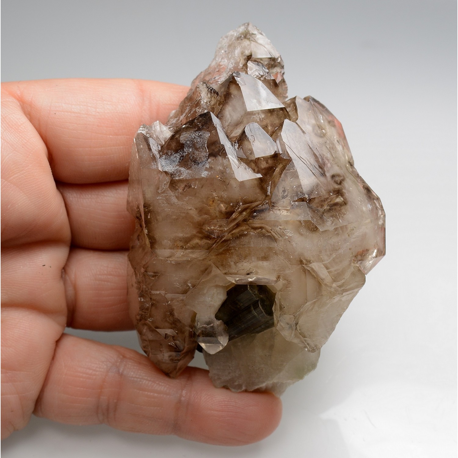 Quartz et tourmaline - Minas Gerais, Brésil