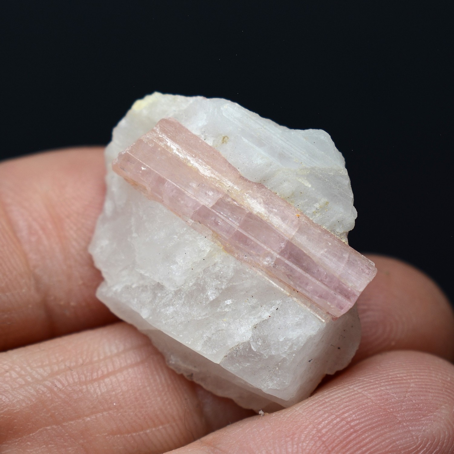 Tourmaline rubellite on quartz - Brazil