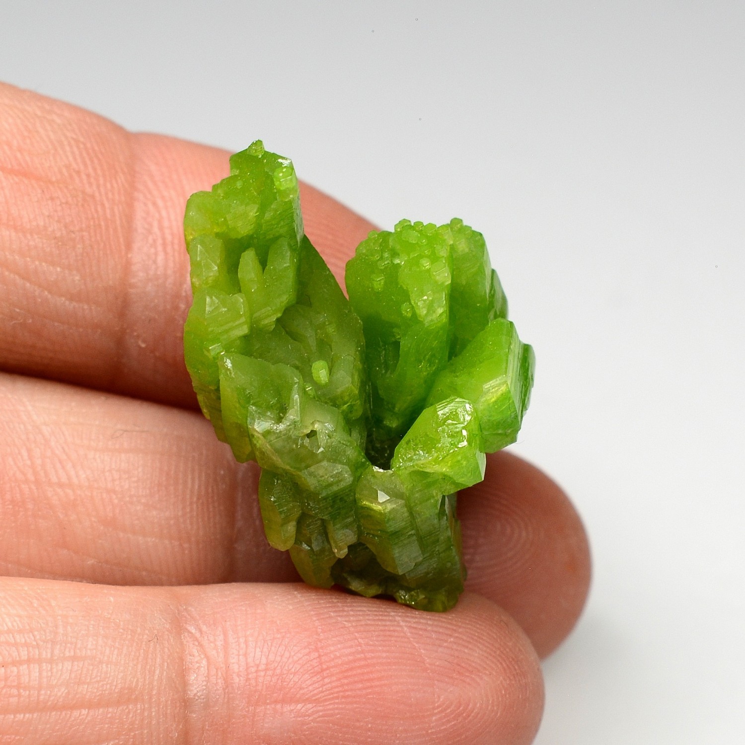 Pyromorphite - Mine Daoping, Province de Guangxi, Chine