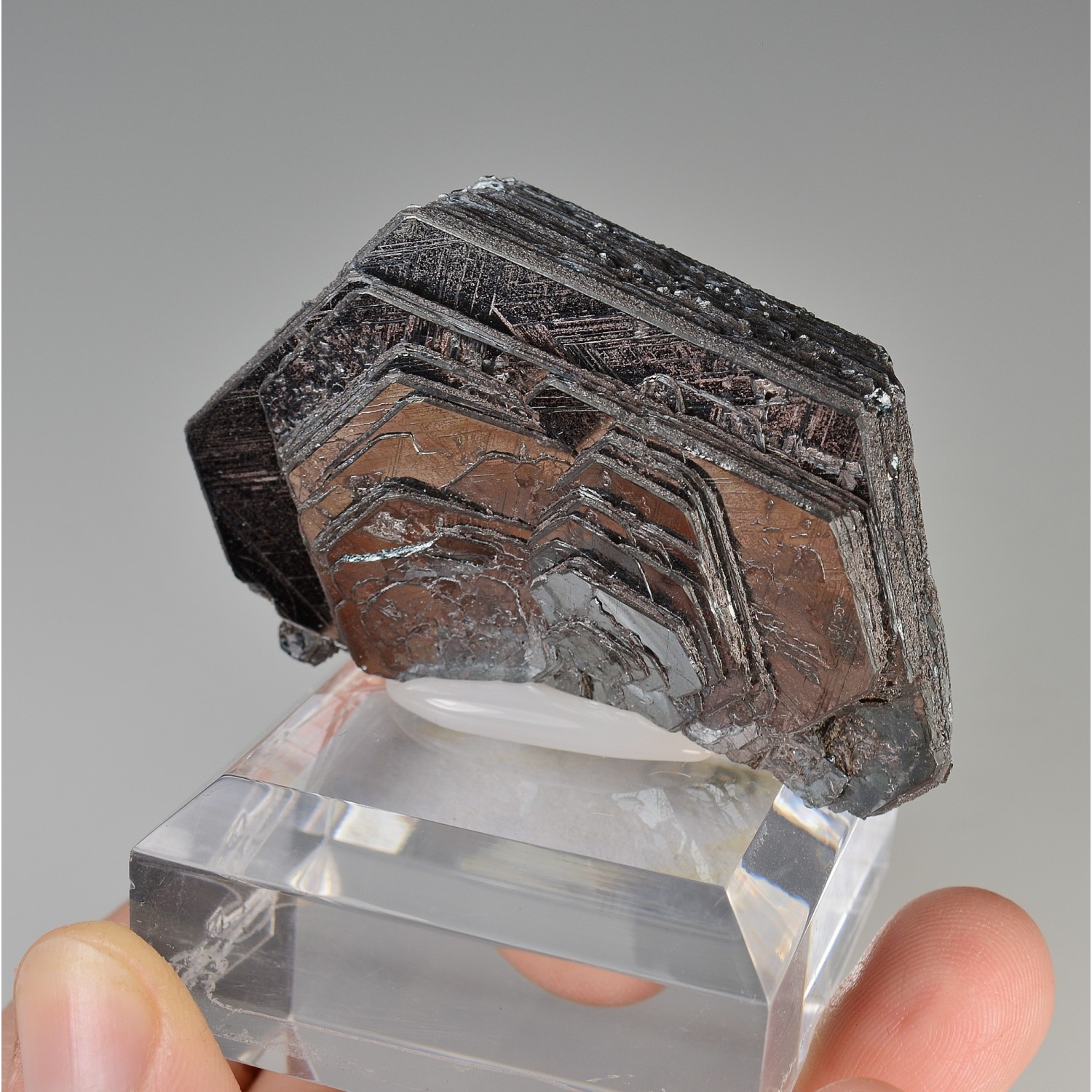 Hématite - Ouro Preto, Minas Gerais, Brésil