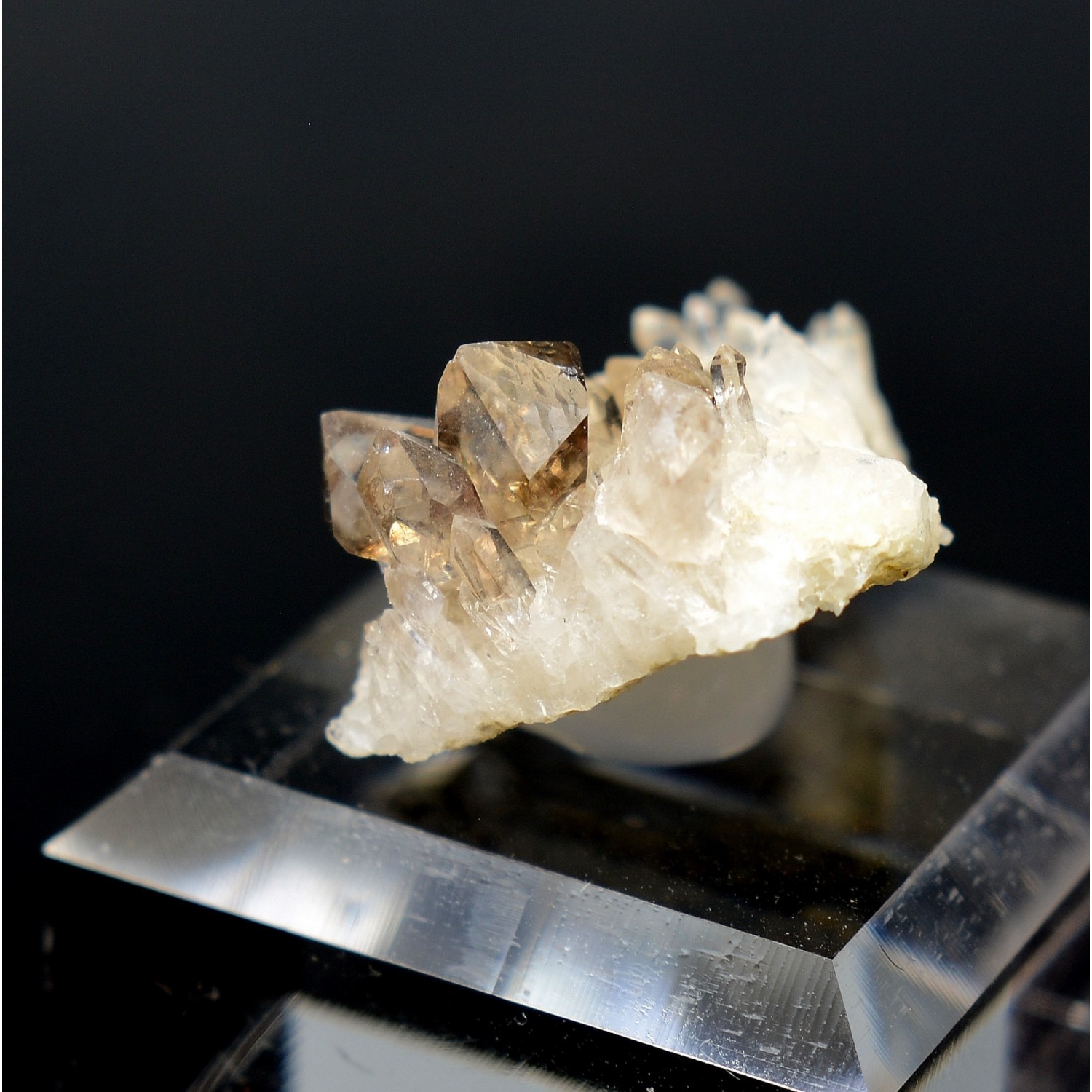 Smoky quartz on quartz - Brest bay, Finistère, France