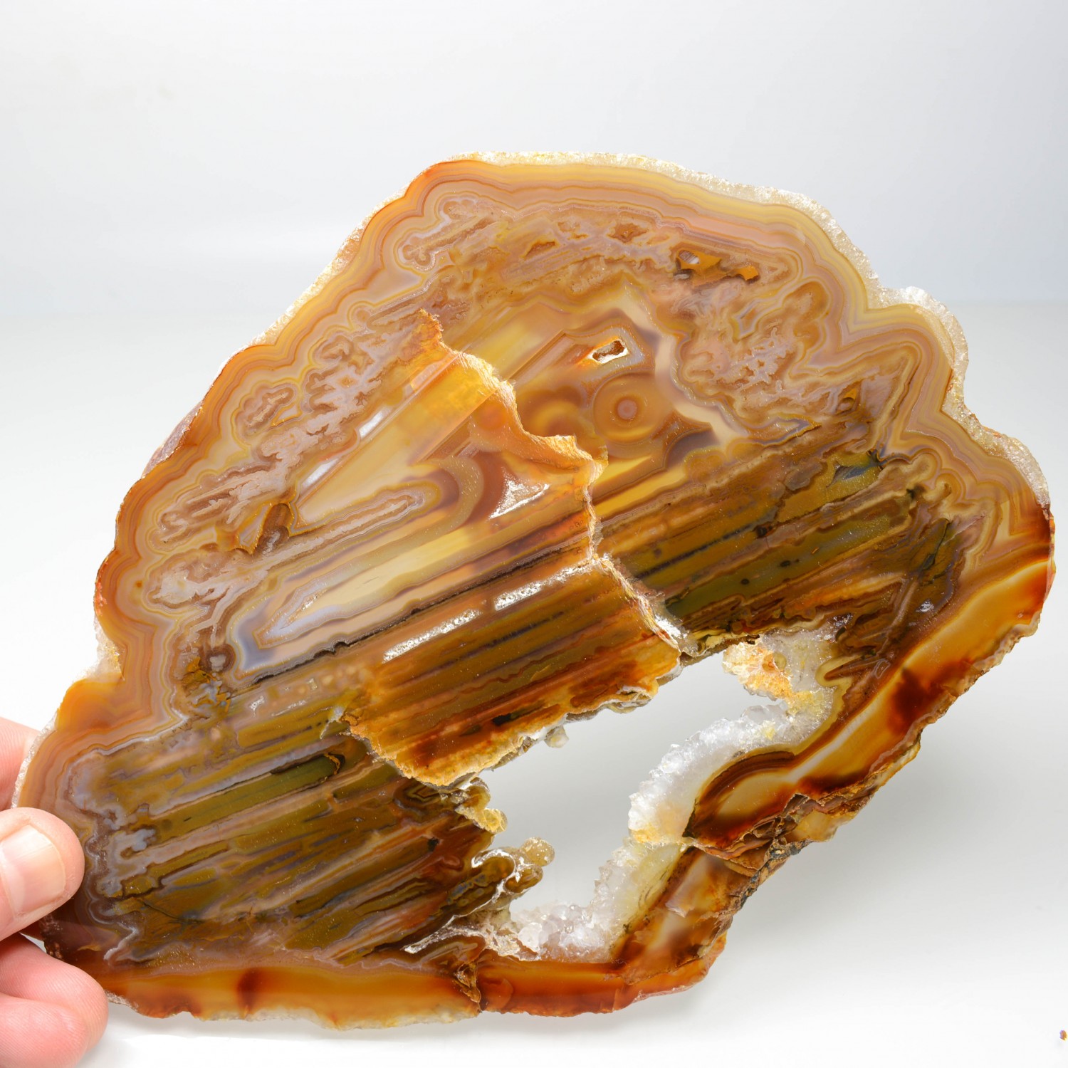 Agate slice - Brazil