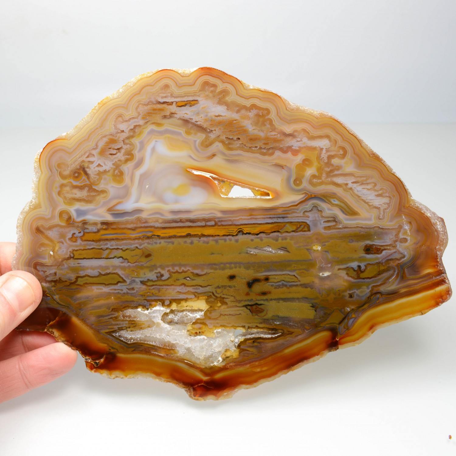 Agate slice - Brazil