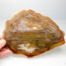 Agate slice - Brazil