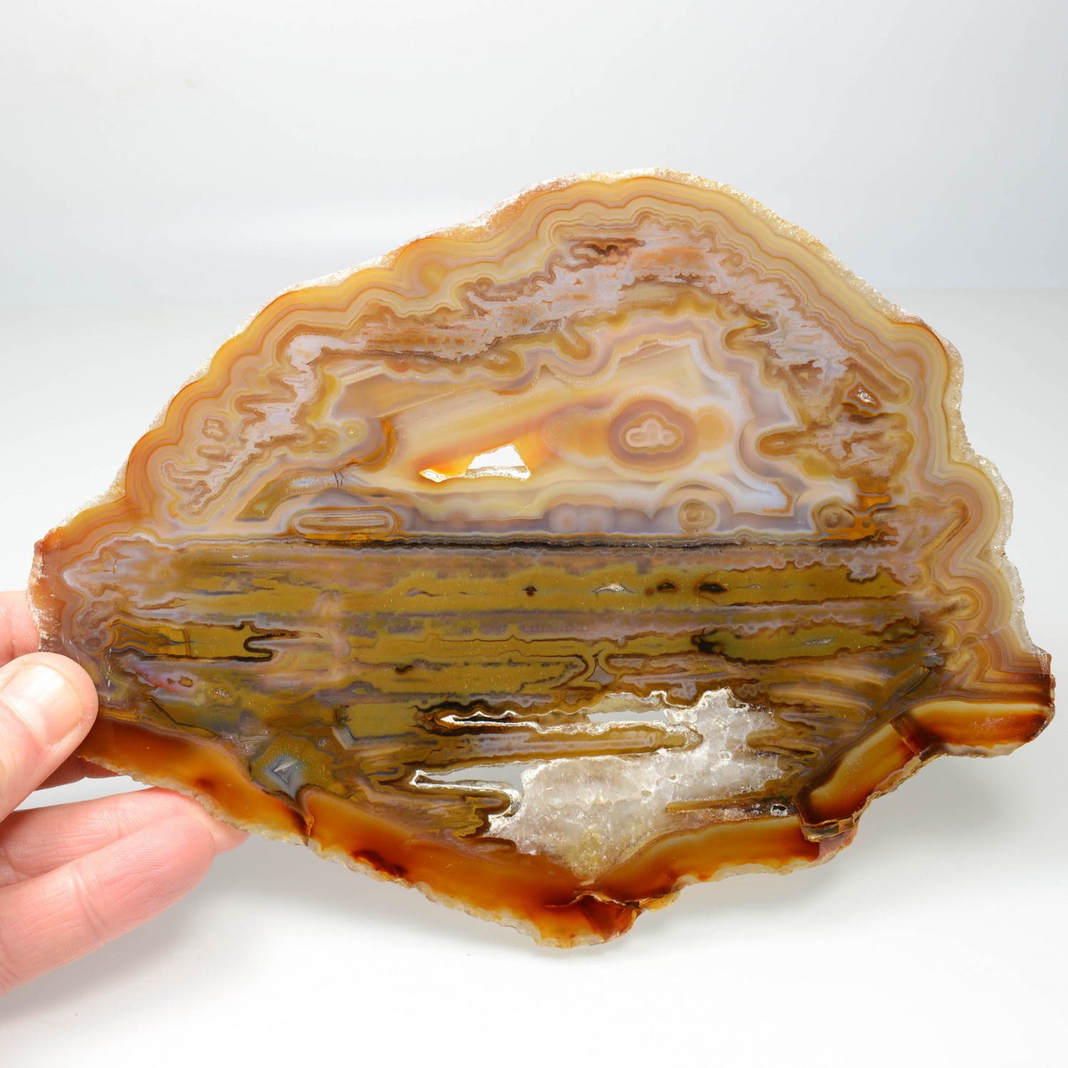 Agate slice - Brazil