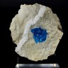 Cavansite and stilbite on heulandite - Wagholi quarries, Poona, India