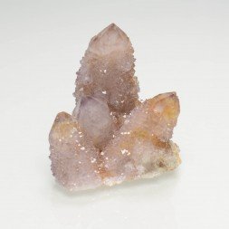 Améthyste cactus - Mkobola, Afrique du Sud