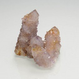 Améthyste cactus - Mkobola, Afrique du Sud