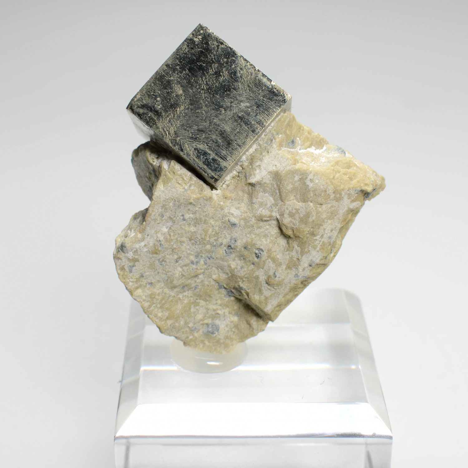 Pyrite on steatite - Navajun, La Rioja, Spain