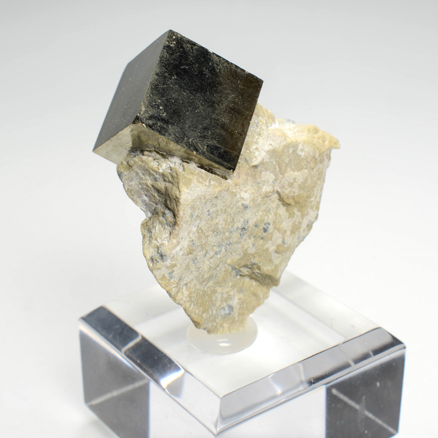 Pyrite sur stéatite - Navajun, La Rioja, Espagne