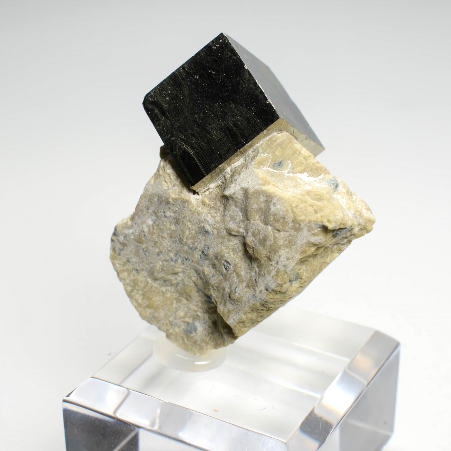 Pyrite on steatite - Navajun, La Rioja, Spain