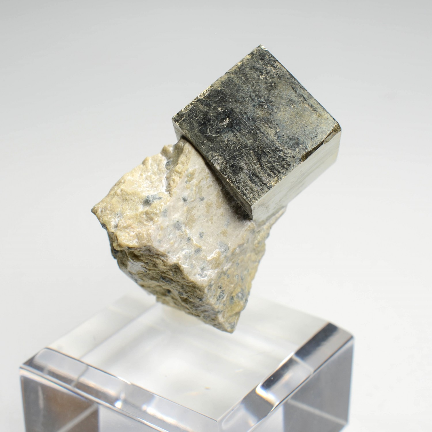 Pyrite on steatite - Navajun, La Rioja, Spain