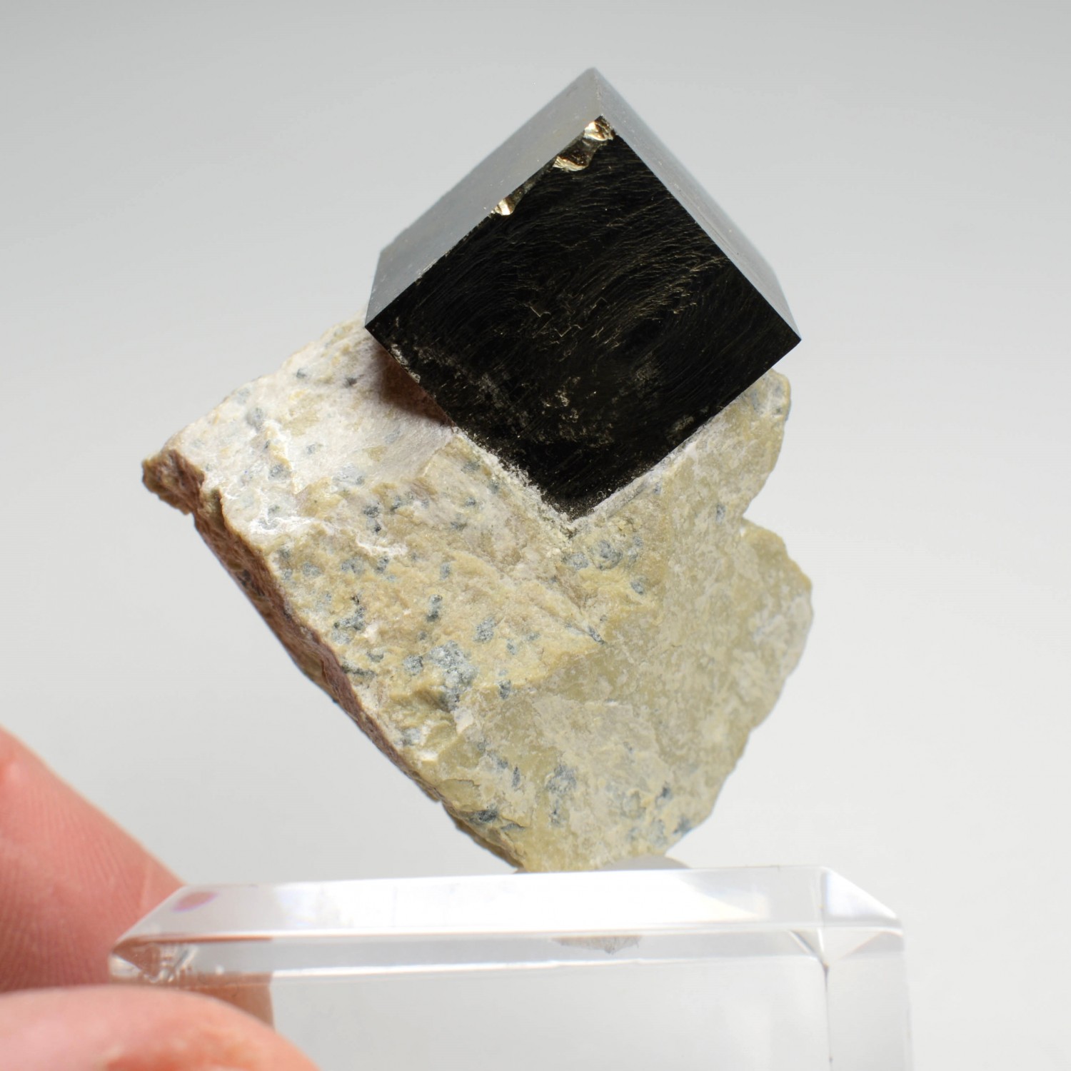 Pyrite on steatite - Navajun, La Rioja, Spain