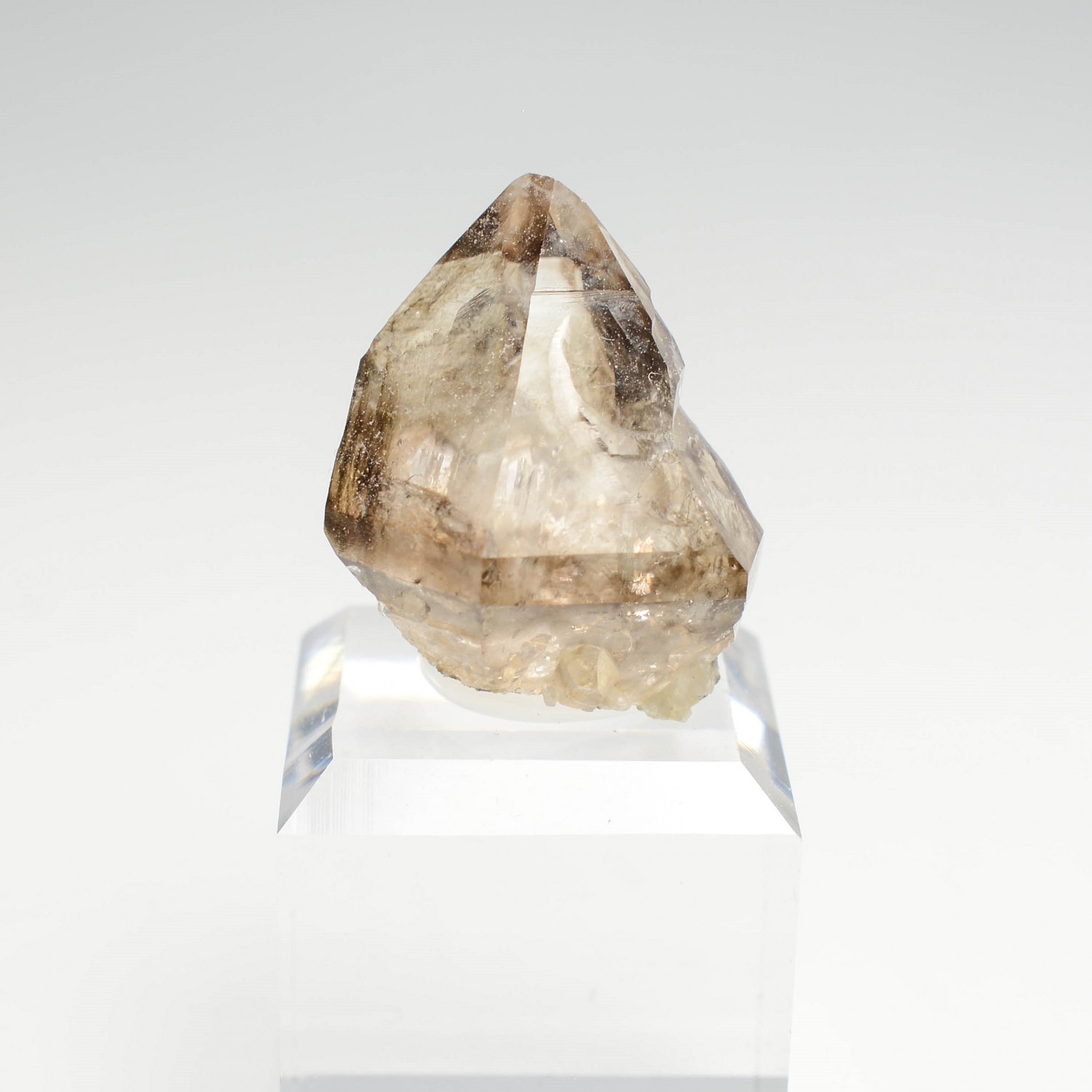 Quartz fumé- Rade de Brest, Finistère, France