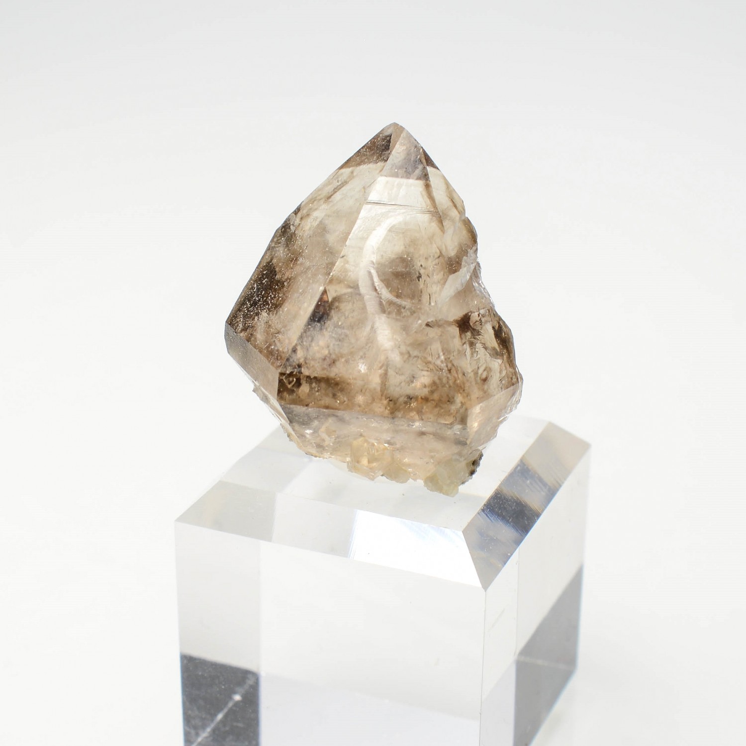 Quartz fumé- Rade de Brest, Finistère, France