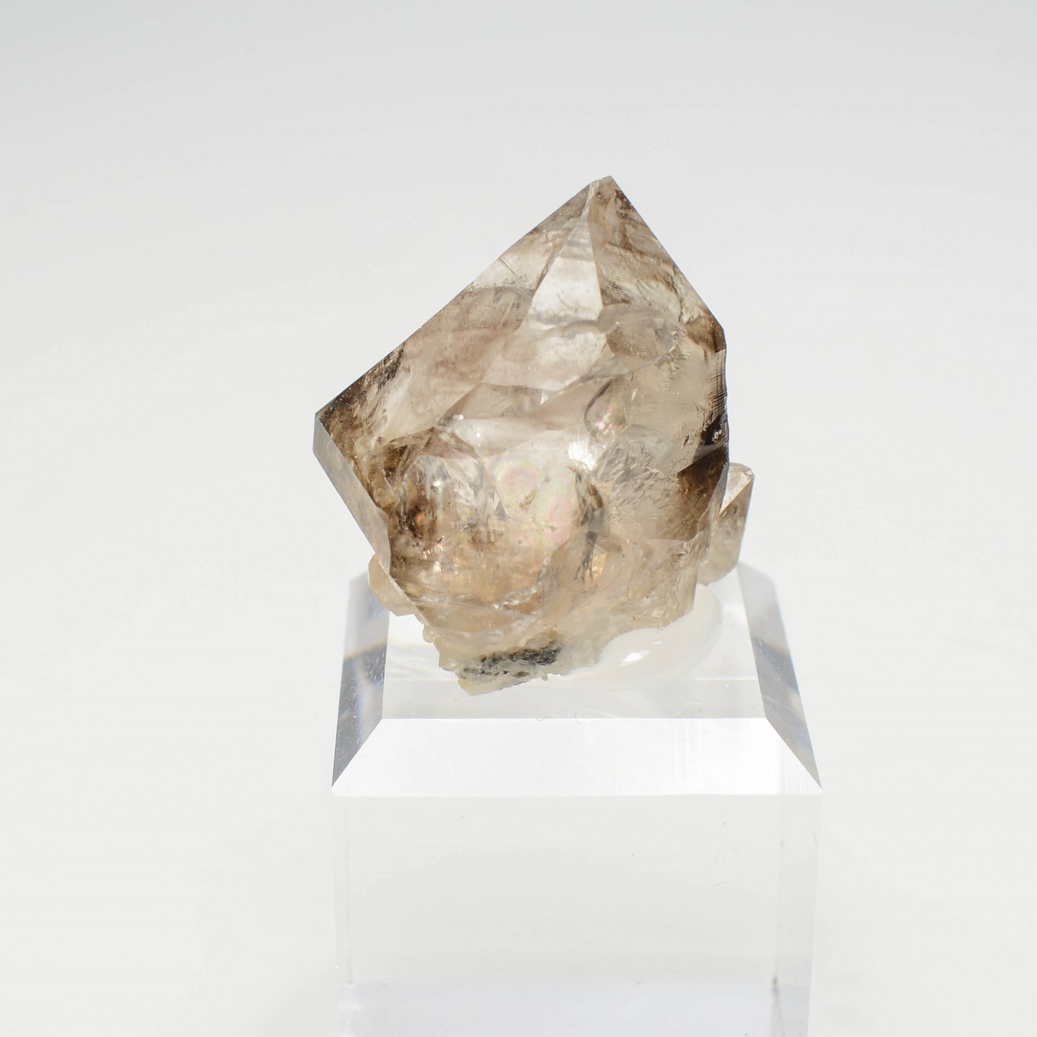 Quartz fumé- Rade de Brest, Finistère, France