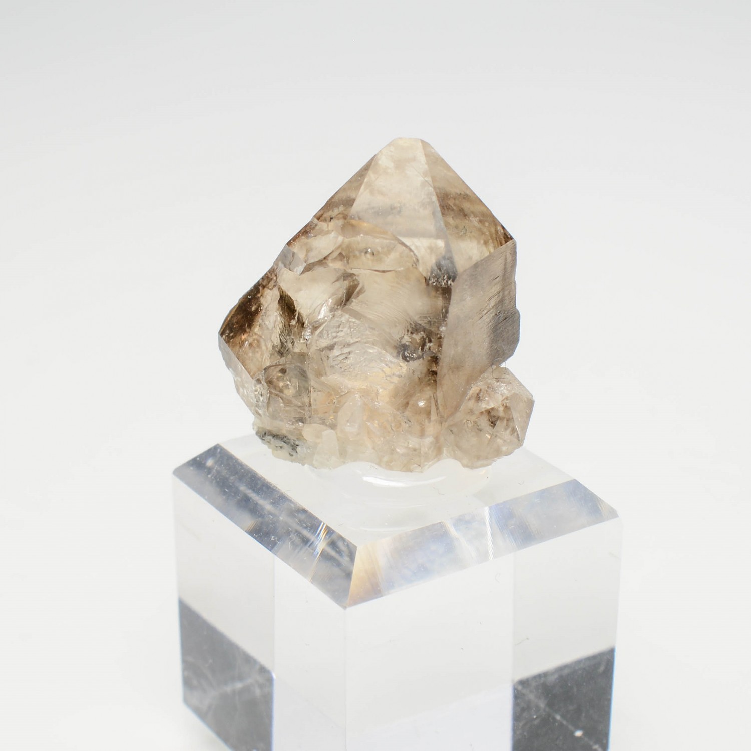 Quartz fumé- Rade de Brest, Finistère, France