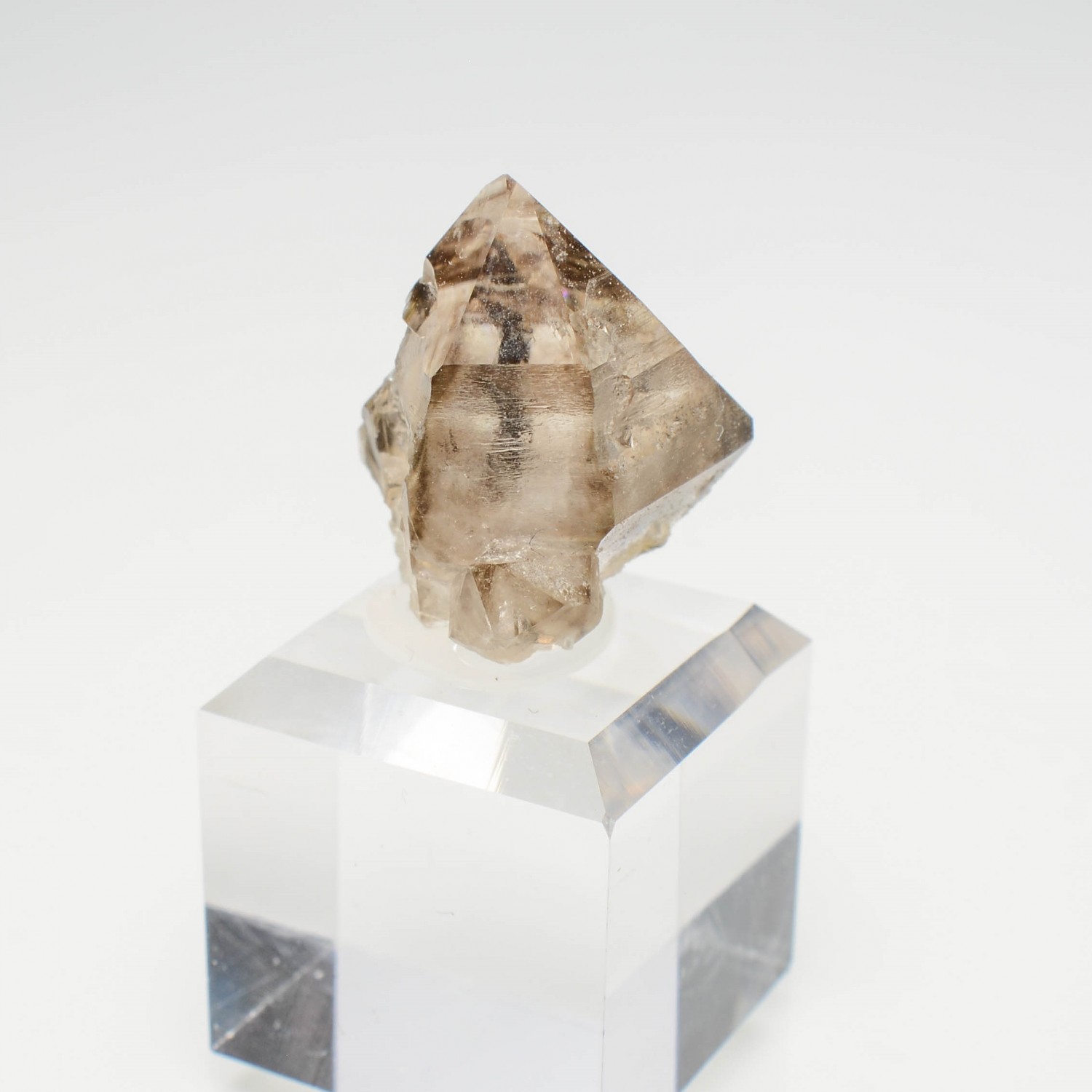 Quartz fumé- Rade de Brest, Finistère, France