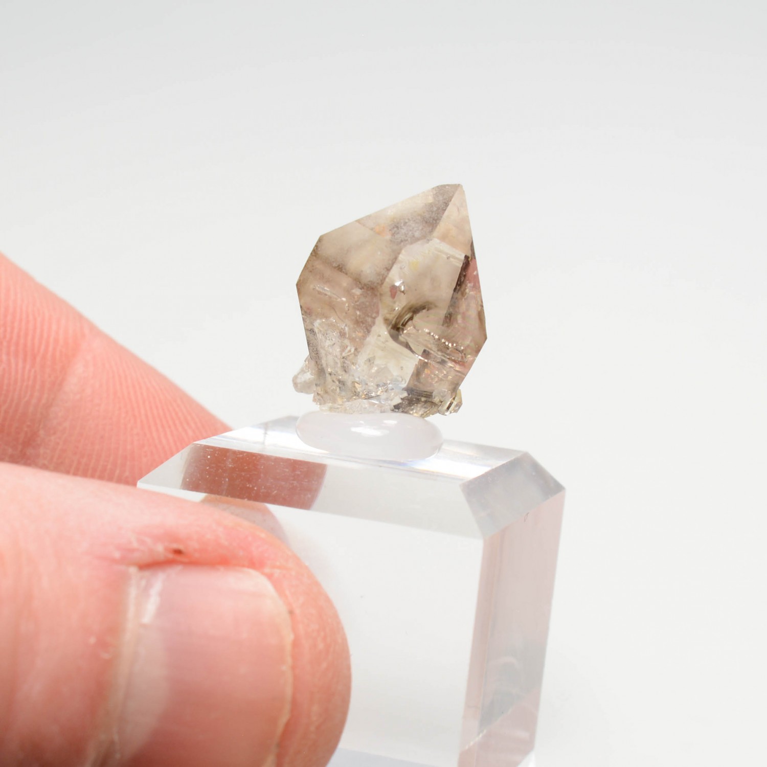 Smoky quartz - Rade de Brest, Finistère, France