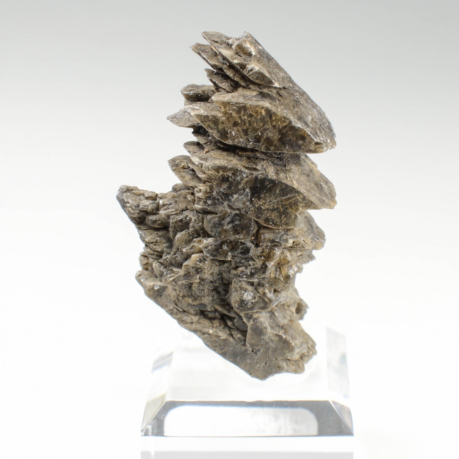 Gypsum - Albas, Aude, France