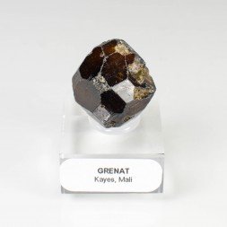 Garnet var. andradite - Kayes, Mali