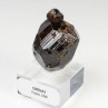 Garnet var. andradite - Kayes, Mali