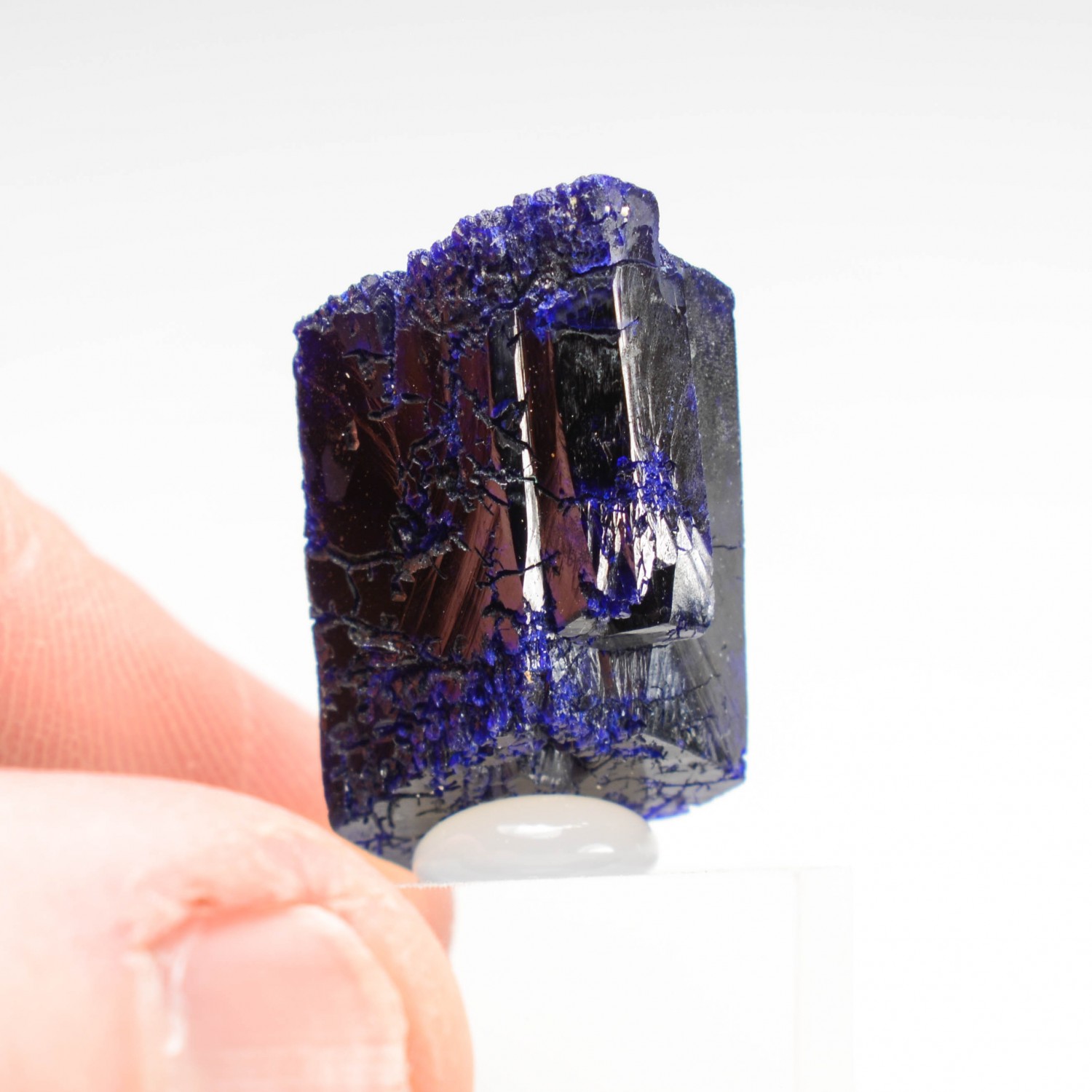 Azurite - Kerrouchen, Maroc