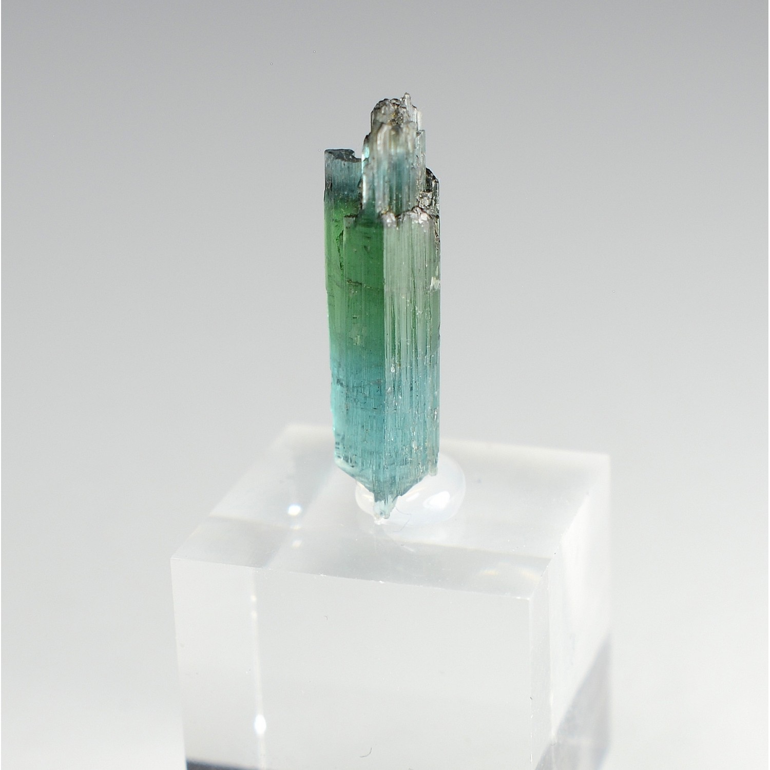 Tourmaline elbaite var. indicolite - Santa Rosa mine, Itambacuri, Minas Gerais, Brazil