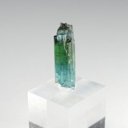 Tourmaline elbaite var. indicolite - Mine Santa Rosa, Itambacuri, Minas Gerais, Brésil