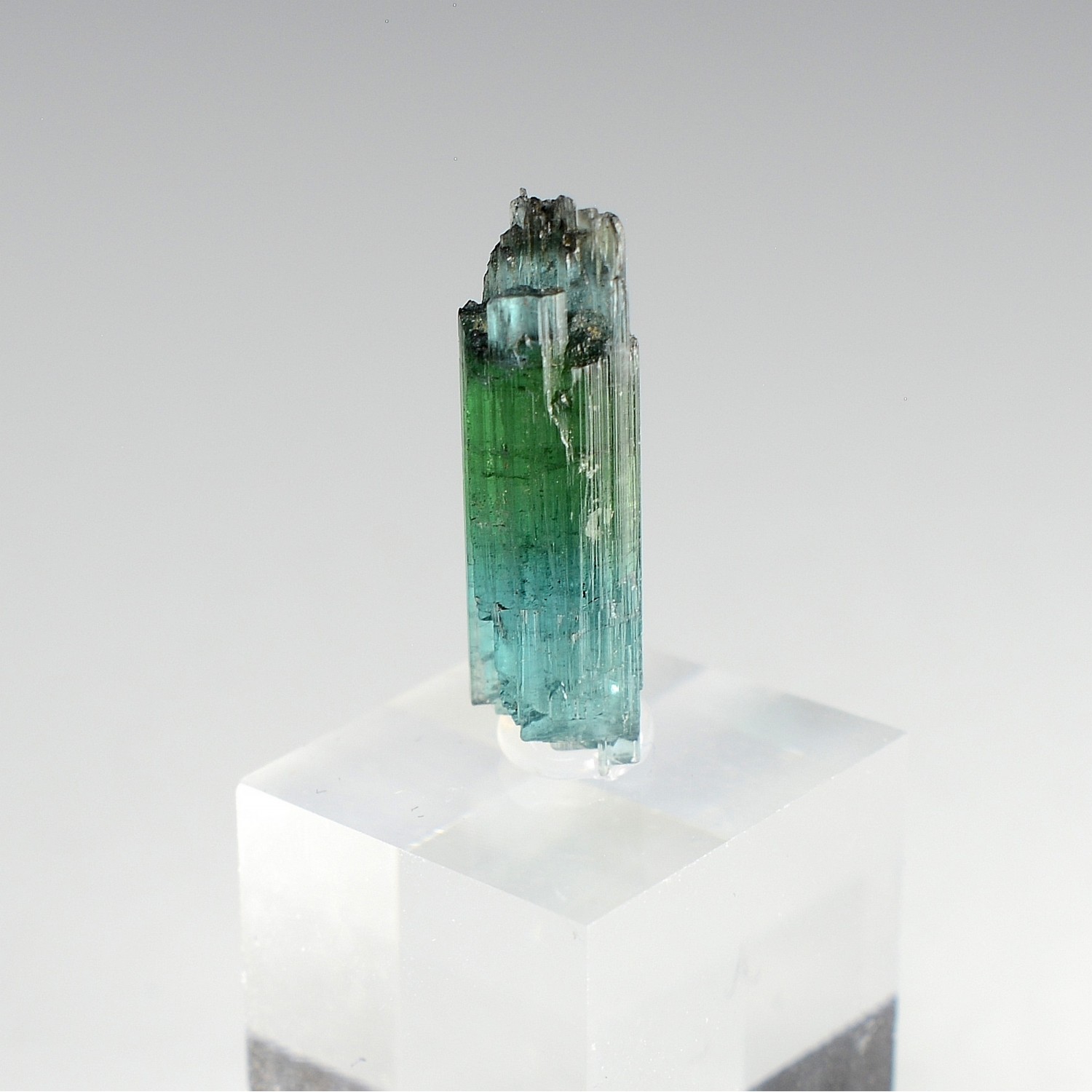 Tourmaline elbaite var. indicolite - Mine Santa Rosa, Itambacuri, Minas Gerais, Brésil