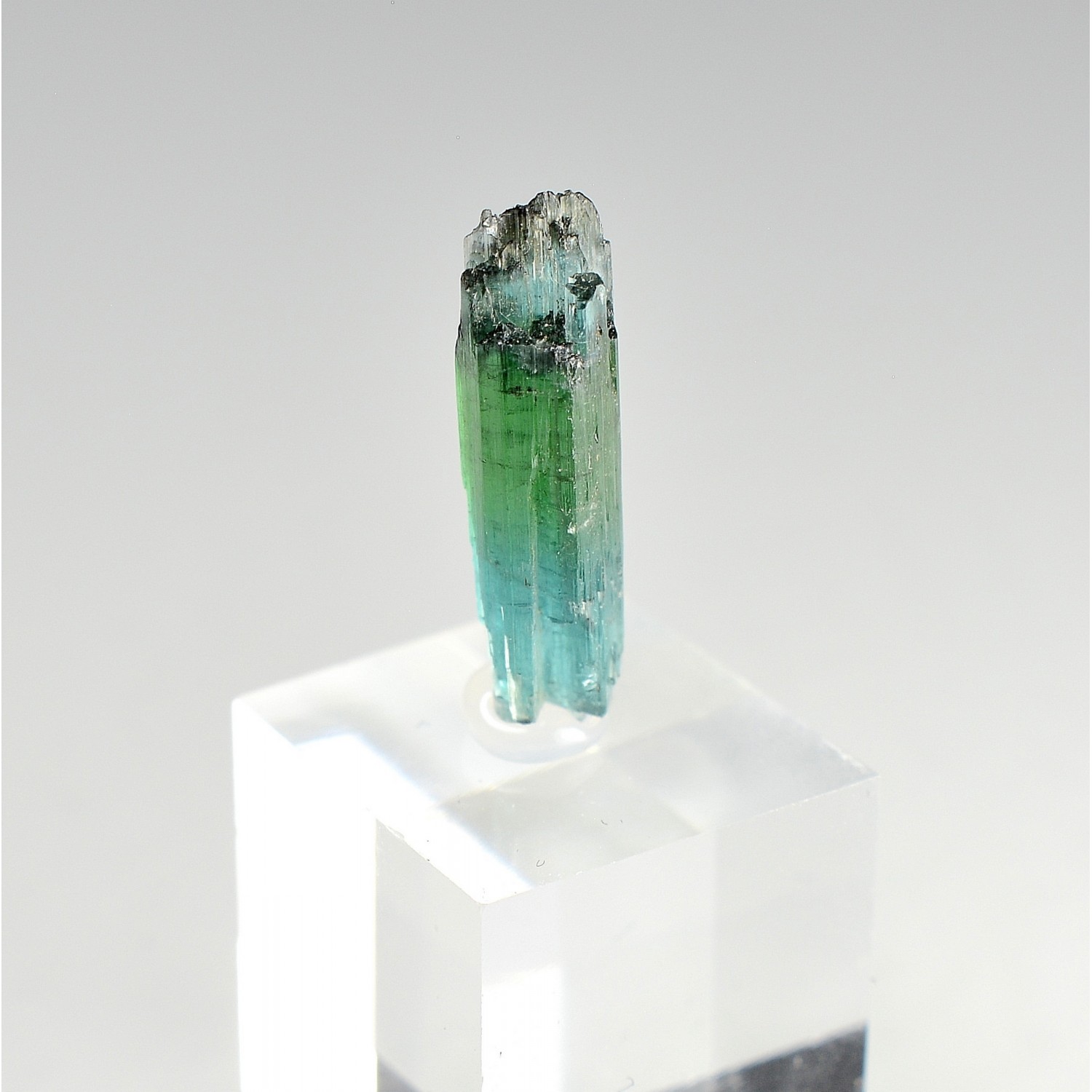 Tourmaline elbaite var. indicolite - Mine Santa Rosa, Itambacuri, Minas Gerais, Brésil