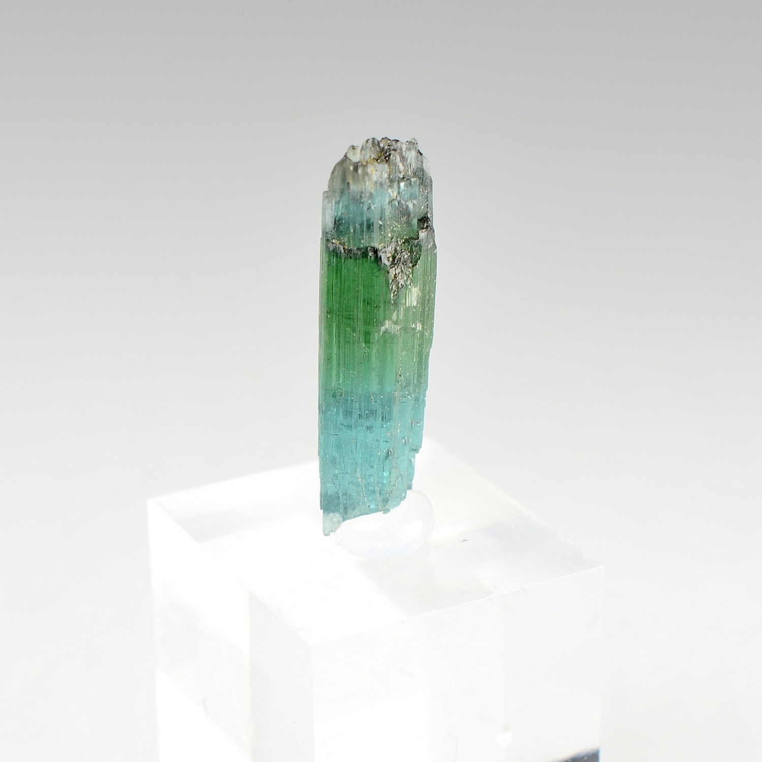 Tourmaline elbaite var. indicolite - Mine Santa Rosa, Itambacuri, Minas Gerais, Brésil